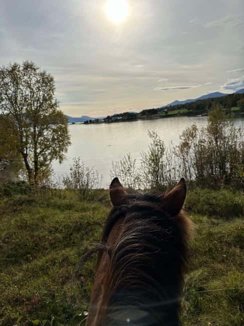 Tromsø: Horseback Riding Tour - What to bring (and how to not regret it)