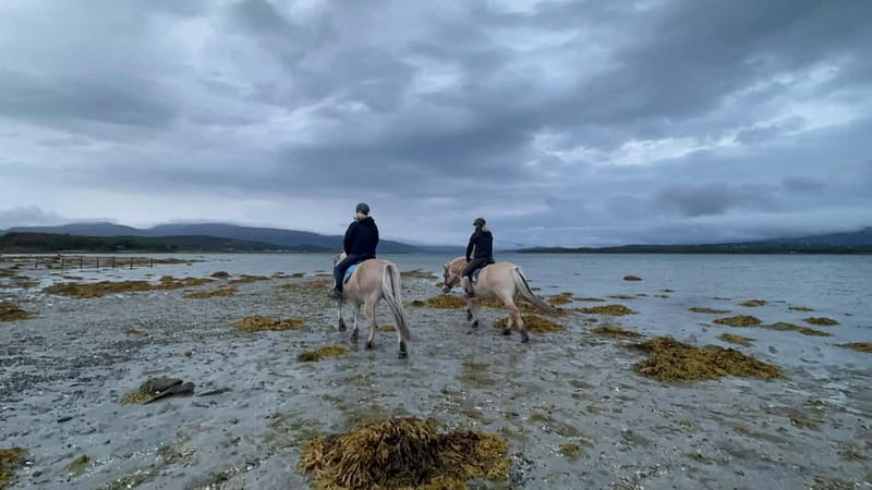 Tromsø: Horseback Riding Tour - Should you book this Tromsø horseback riding tour on Kvaløya?