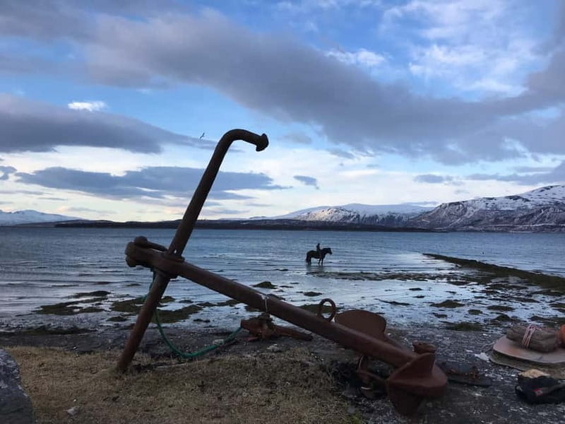 Tromsø: Horseback Riding Tour - Marisletta gård: arriving, meeting your guide, and getting geared up