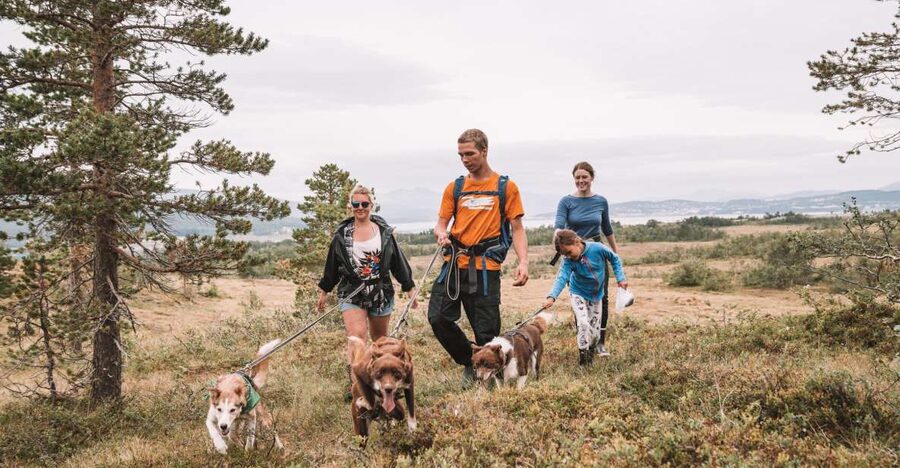 Tromsø: Husky Hike and Puppy Visit with Traditional Lunch - Tromsø Husky Hike Timing and What’s Included in Those 4.5 Hours