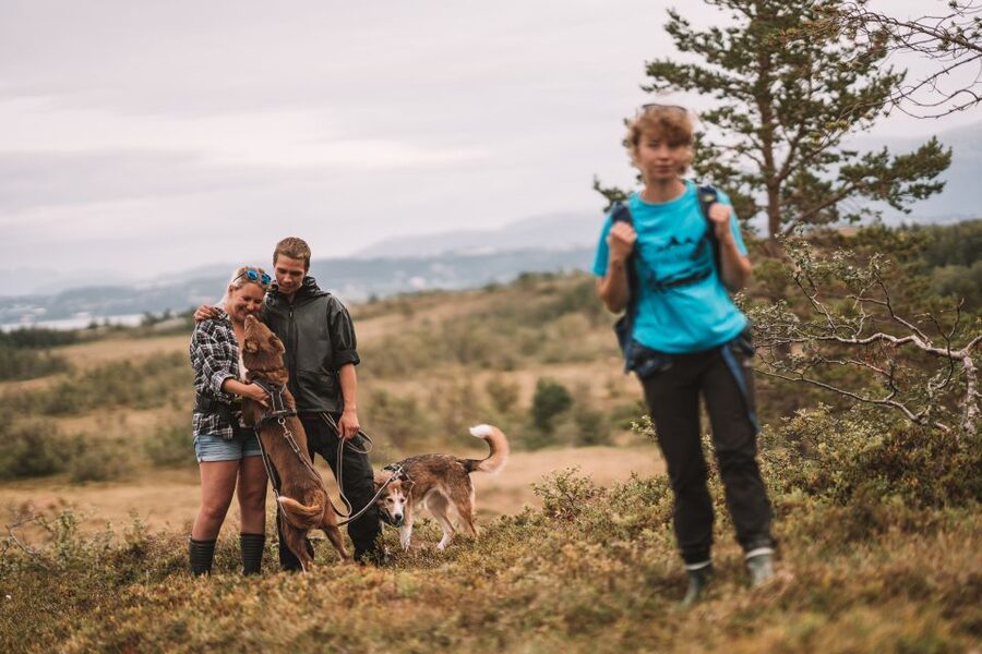 Tromsø: Husky Hike and Puppy Visit with Traditional Lunch - Who This Husky Hike Suits Best (and Who Should Pass)