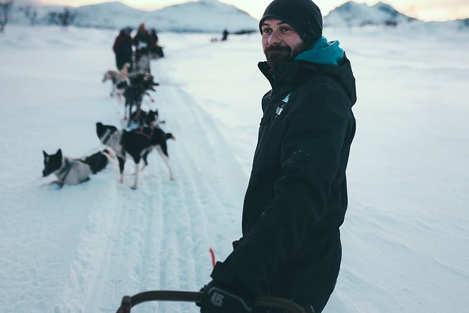 Tromso Husky Self-Drive Sledding with Cake and Drink in Lavvu - On-trail timing: 70–80 minutes of Arctic wilderness (and how the guide keeps it smooth)