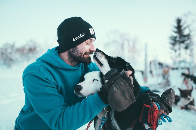 Tromso Husky Self-Drive Sledding with Cake and Drink in Lavvu - Gear and what to wear: how the provided thermal suit actually helps