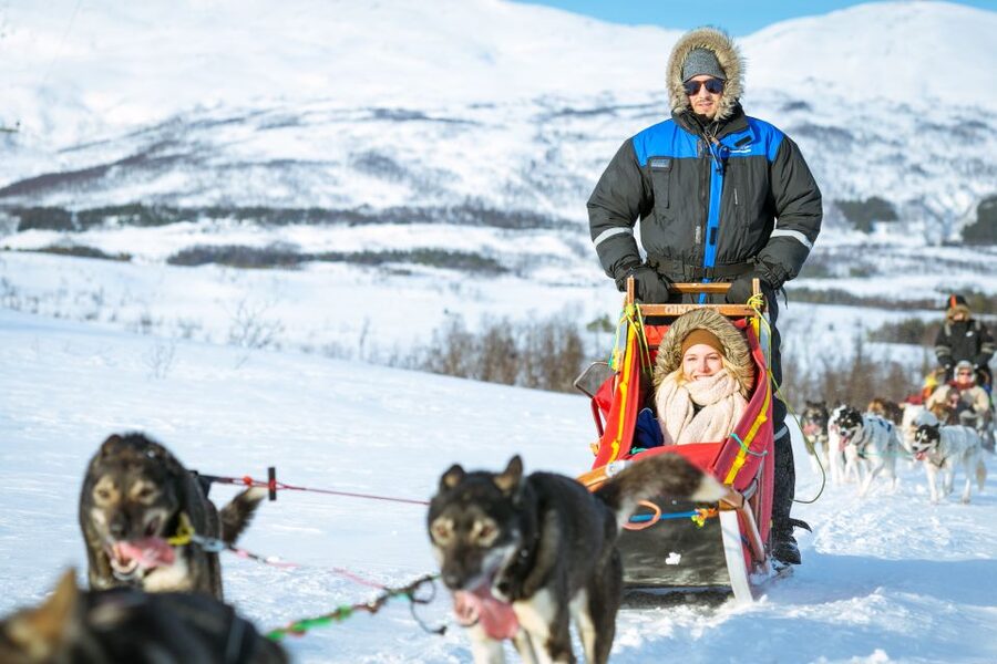 Tromsø: Husky Sled Self-Drive with Traditional Lunch - Should you book this husky sled self-drive?