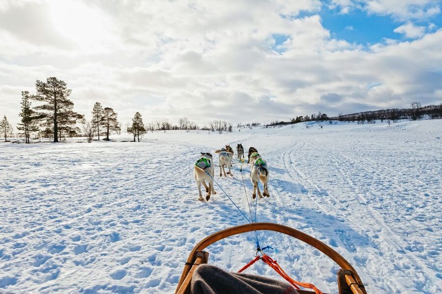 Tromsø: Husky Sled Self-Drive with Traditional Lunch - Weather and plan changes: what to do if conditions shift