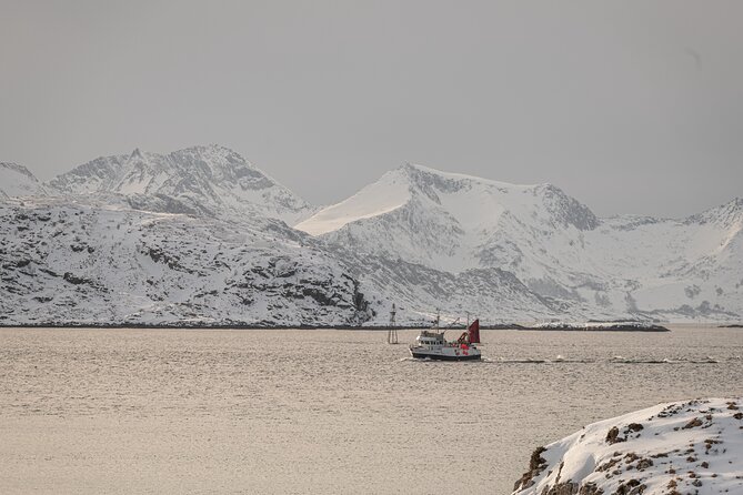 Tromsø: Kvaløya & Sommarøy Guided Fjord Tour with Lunch - Lunch, Coffee/Tea, and Snacks: Simple Fuel Done Right