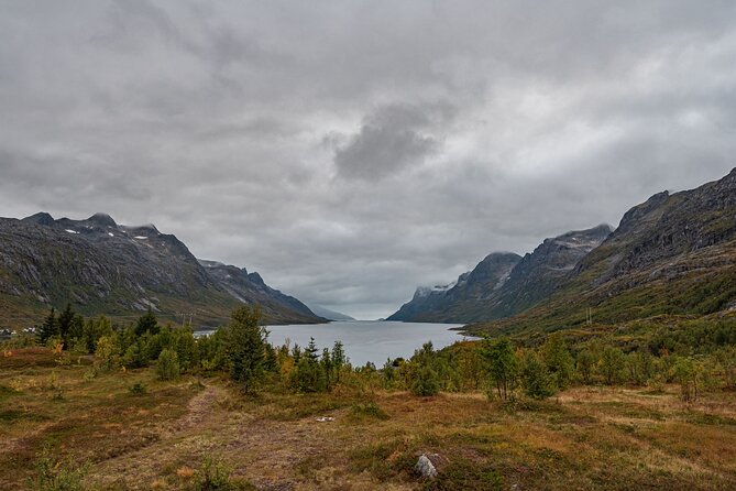 Tromsø: Kvaløya & Sommarøy Guided Fjord Tour with Lunch - Transportation and Comfort: Cold Van, Hot Prep