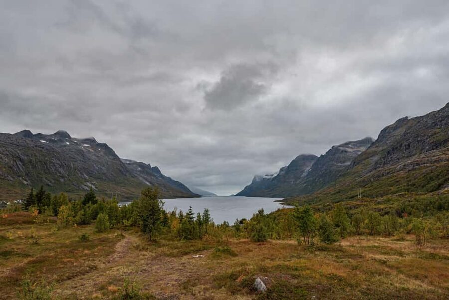 Tromsø: Kvaløya & Sommarøy Guided Tour - Price and value: why $165 can make sense for a half day