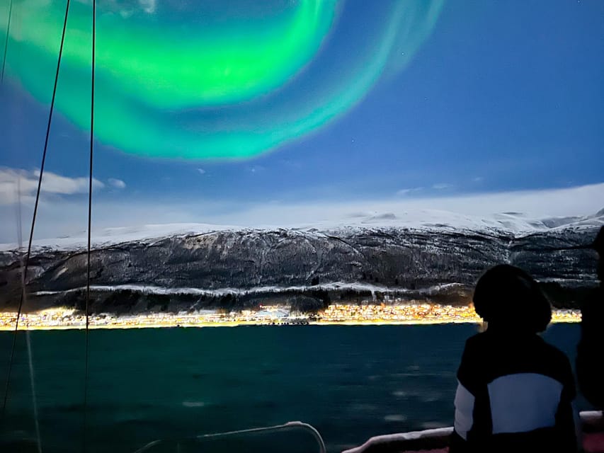 Tromso: Luxury Northern Lights Cruise with Hot Tub & Dinner - Getting fed: reindeer stew, bread, and comfort-drink basics