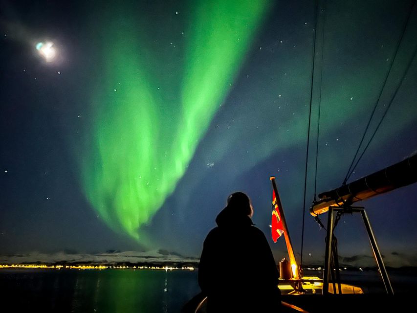 Tromso: Luxury Northern Lights Cruise with Hot Tub & Dinner - Aurora odds: how the captain increases your chances