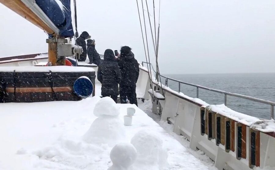 Tromsø: Luxury Polar Fjord Cruise w/ Hot Tub & Polar Plunge - Who this cruise suits best (and who should reconsider)