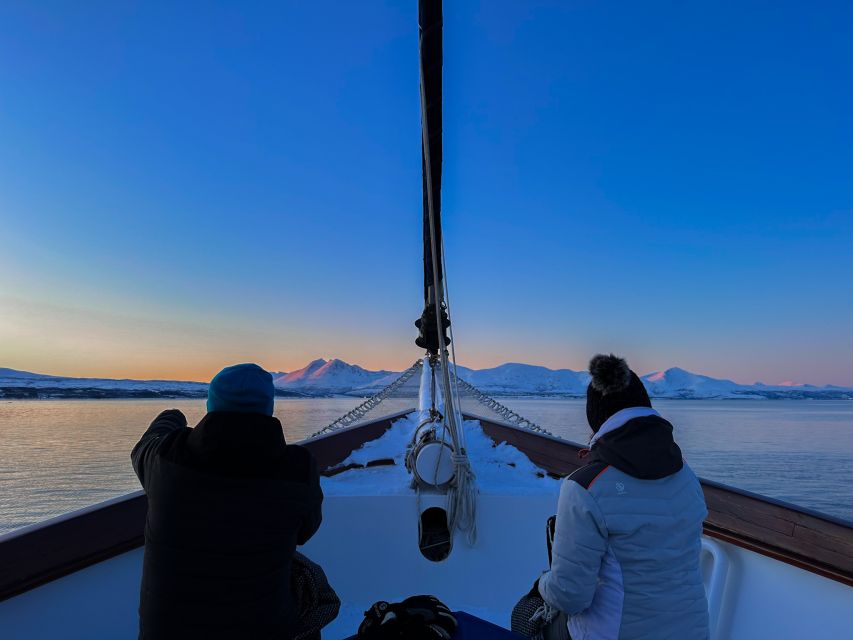 Tromsø: Luxury Polar Fjord Cruise w/ Hot Tub & Polar Plunge - Balsfjorden routing: how weather and wildlife drive where you go