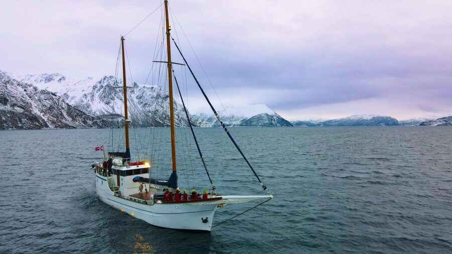 Tromsø: Luxury Polar Fjord Cruise w/ Hot Tub & Polar Plunge - Stella Oceana comfort: heated saloon, viewing decks, and “ice-class” confidence