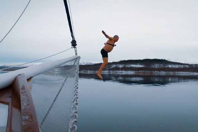 Tromso Luxury Sailing Yacht Polar Fjord Cruise with Lunch - Weather Reality: How Good Conditions Change the Route and Your Comfort