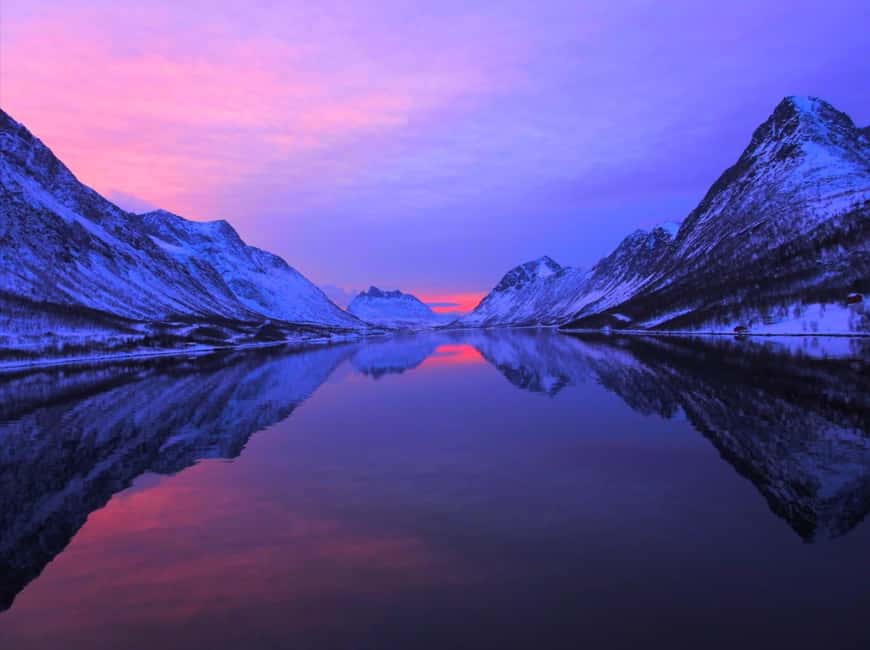 Tromsø: Midnight Sightseeing Cruise All-inclusive - Key points worth knowing