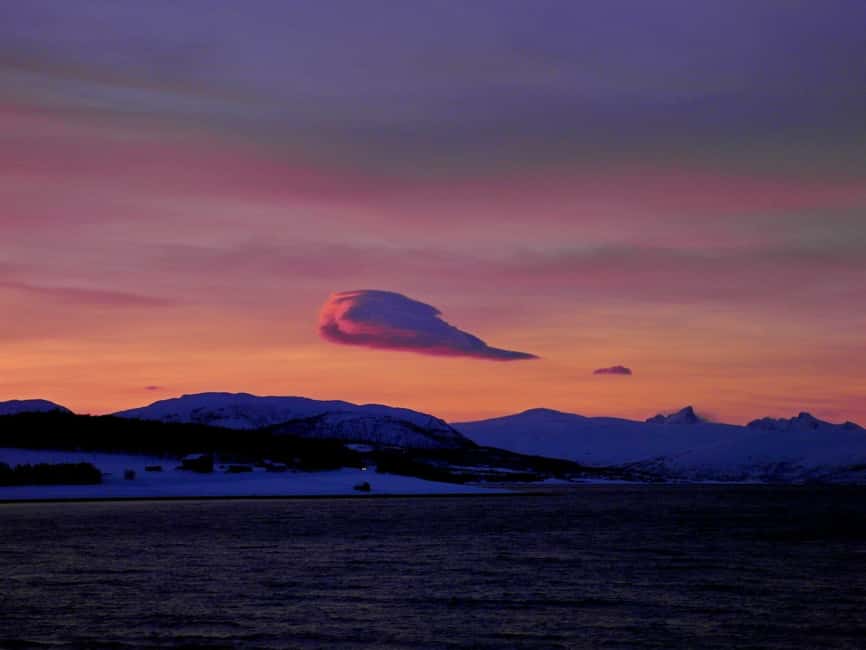 Tromsø: Midnight Sightseeing Cruise All-inclusive - Wildlife spotting and fishing: what you can hope for