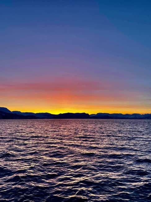Tromsø: Midnight Sightseeing Cruise All-inclusive - Who this midnight sun cruise suits best