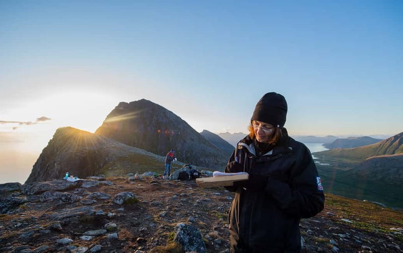 Tromsø: Midnight Sun Hike in the wilderness - Learning local flora and fauna while you walk