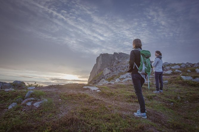 Tromsø: Midnight Sun Hike with Wandering Owl - Is This Tour Good Value for You?