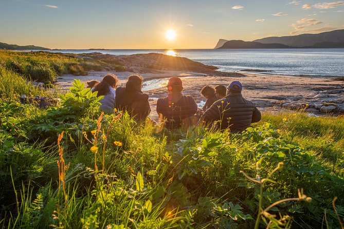 Tromsø: Midnight Sun with Campfire with Wandering Owl - Why Tromsø midnight sun + a campfire meal is such a good match