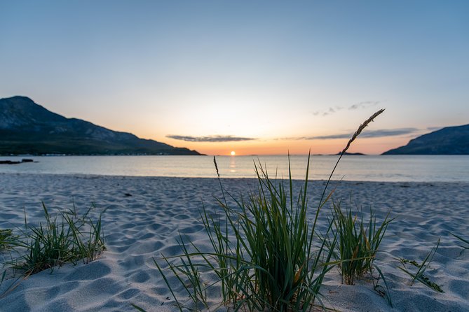 Tromsø: Midnight Sun with Campfire with Wandering Owl - Food you’ll actually notice: vegetarian/vegan option and what to expect