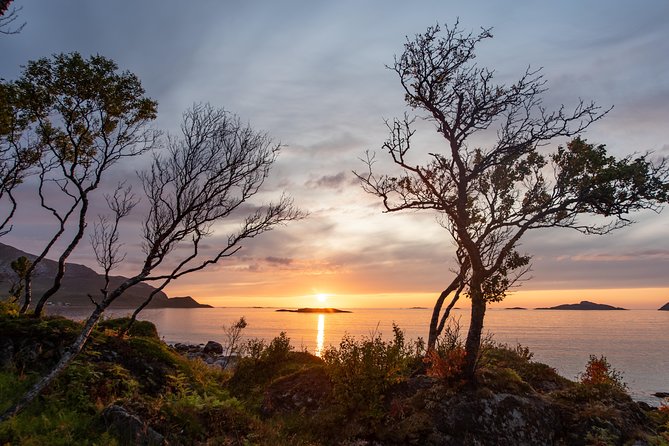 Tromsø: Midnight Sun with Campfire with Wandering Owl - What to pack for an Arctic summer camp (and the toilet reality)