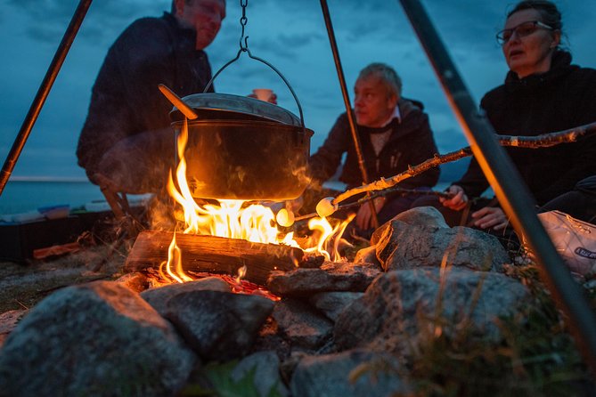 Tromsø: Midnight Sun with Campfire with Wandering Owl - Price and value: what $150 buys in Tromsø summer