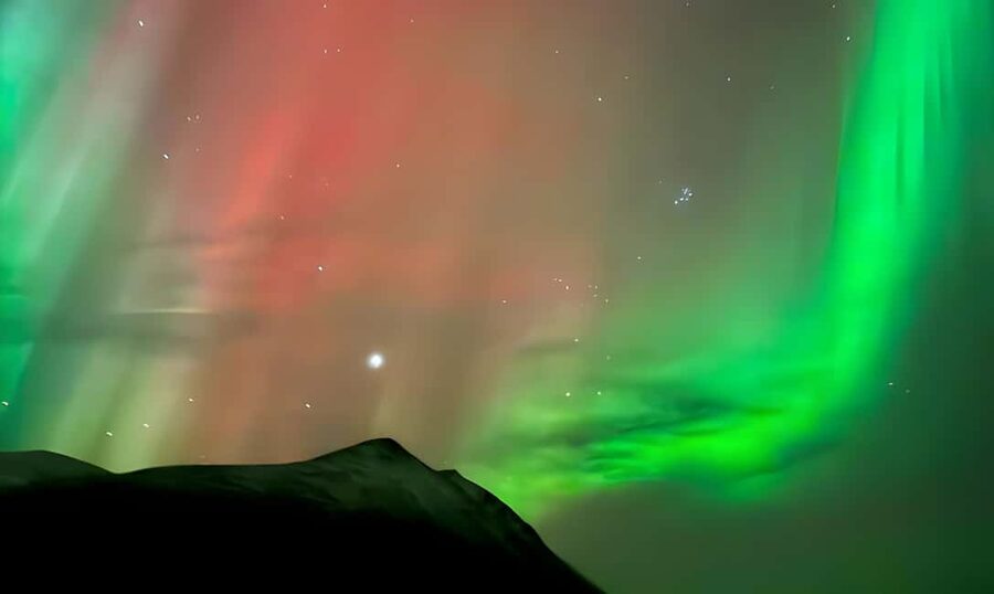 Tromsø: Northern Lights Adventure by Bus or Minibus - Price and value: what you’re paying for at about $117