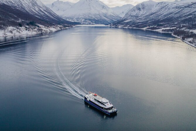 Tromsø, Northern Lights and Wilderness Evening Catamaran Cruise - Weather, light pollution, and why some nights feel disappointing