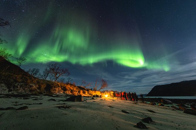 Tromsø: Northern Lights by Minibus - Free Photos and Warm Dinner - Key highlights that actually matter