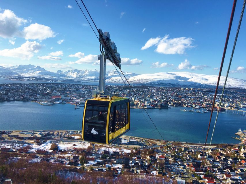 Tromso: Northern Lights Cable Car Excursion - Fjellheisen after dark: why this aurora spot works