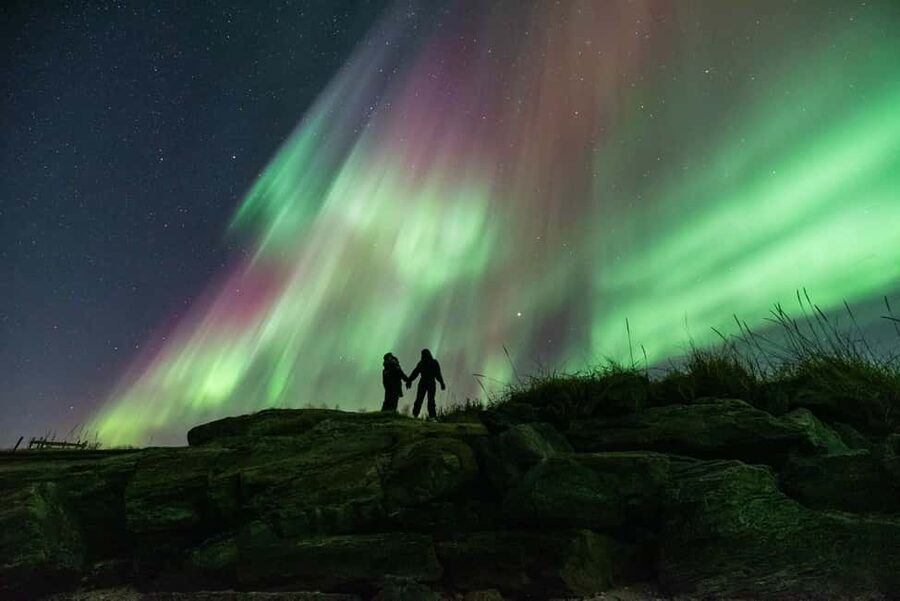 Tromsø: Northern Lights Chase by a comfortable bus - Warm drinks, cookies, and why comfort boosts your chances