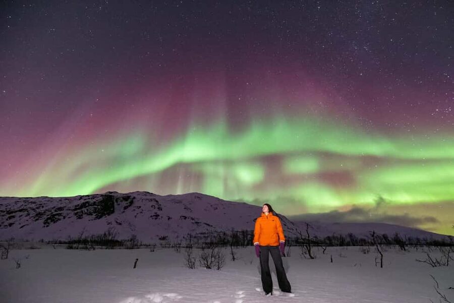 Tromsø: Northern Lights Chase by a comfortable bus - What to wear: warm clothing is not optional