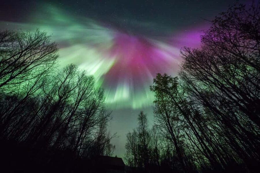 Tromsø: Northern Lights Chase + Free Professional Photos - Free professional photos: why this is better than relying on your own camera