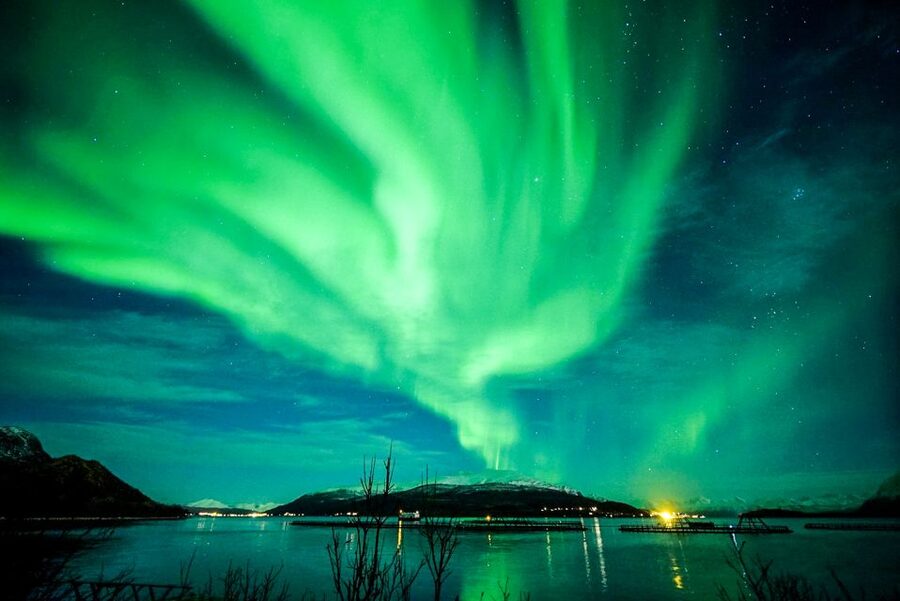 Tromsø: Northern Lights Chase Minibus Tour - What if the aurora doesn’t show?