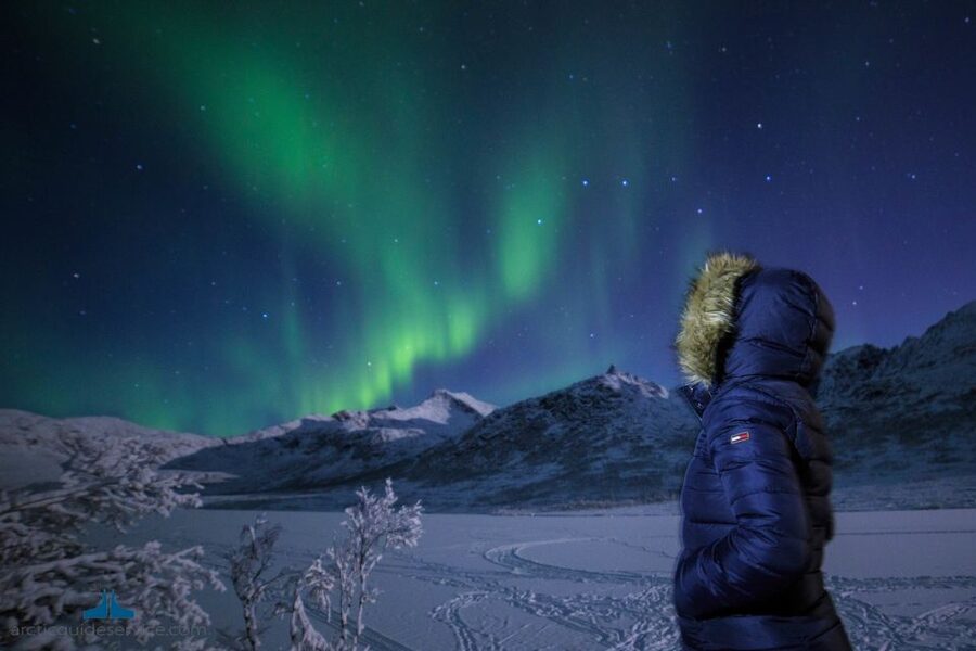 Tromso: Northern Lights Chase with Photo Package Included - Photography Tips and the Included Photo Souvenir