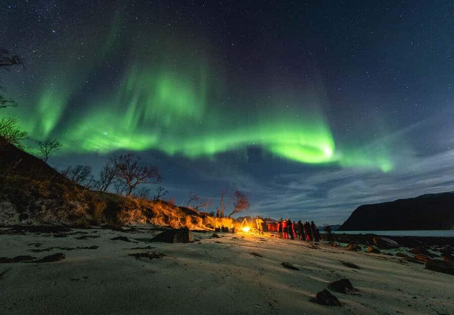 Tromsø: Northern Lights Focus Tour, German/English, minibus, meal - Tromsø aurora hunting, but with real focus and photo support
