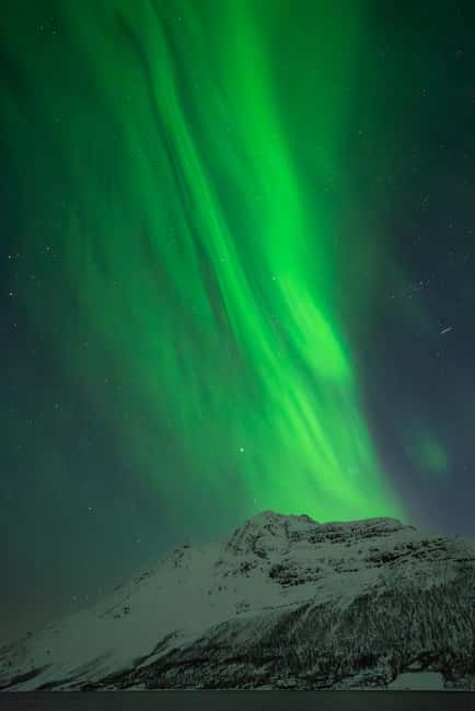 Tromsø: Northern Lights Focus Tour, German/English, minibus, meal - The real aurora strategy: flexibility across north, south, east, and west