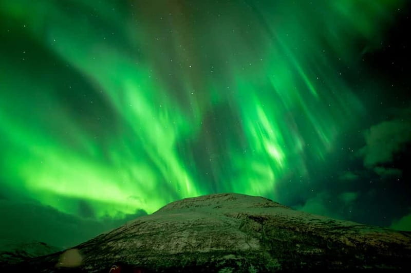 Tromsø: Northern Lights Focus Tour, German/English, minibus, meal - Aurora photography help: what you get beyond pointing your camera up