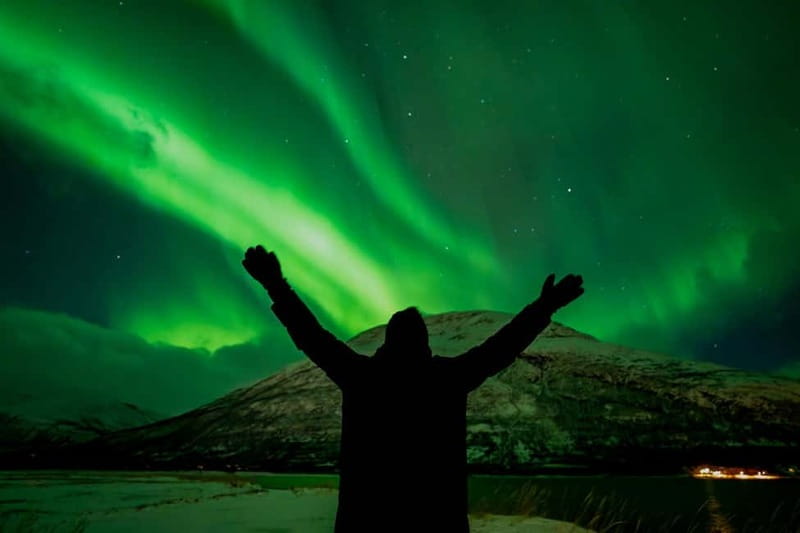 Tromsø: Northern Lights Focus Tour, German/English, minibus, meal - Should you book the Tromsø Northern Lights Focus Tour with Blue Puffin?