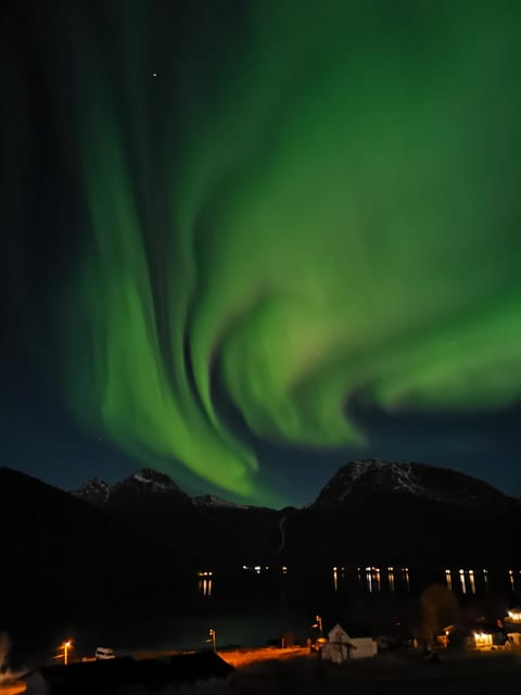 Tromsø: Northern Lights Hunt. Local Guide and Basecamp. - Who this tour fits best, and who should skip it