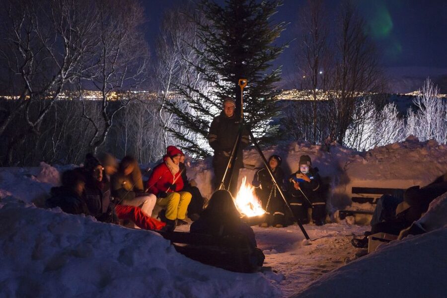 Tromsø: Northern Lights Husky Visit with Traditional Dinner - Northern Lights and Husky Love, Without the Rush