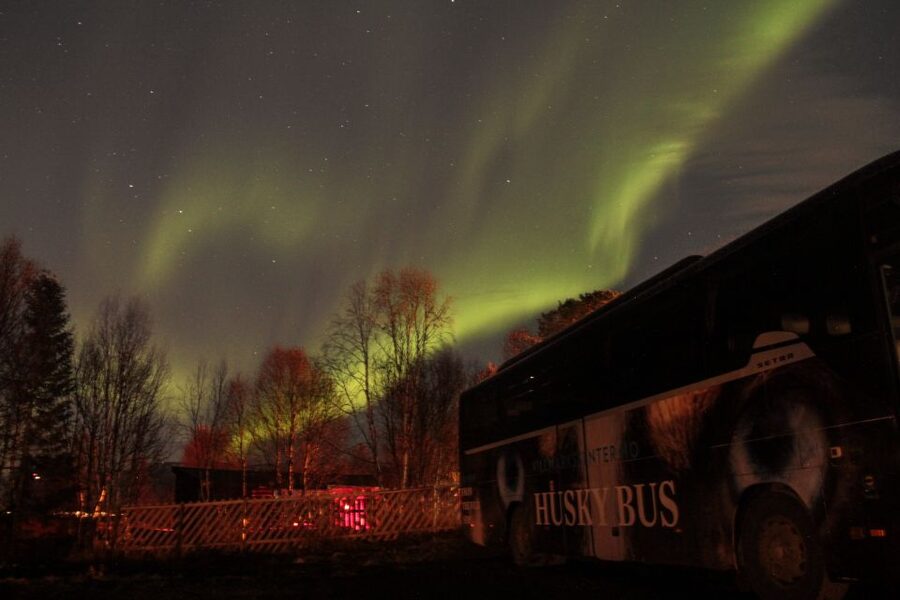 Tromsø: Northern Lights Husky Visit with Traditional Dinner - Campfire Marshmallows: The Warm Break You’ll Actually Enjoy