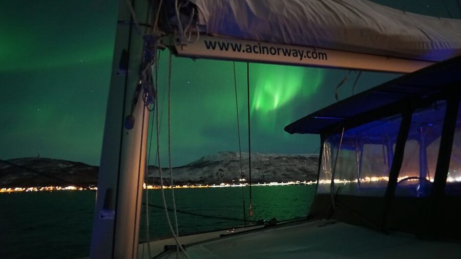 Tromsø: Northern Lights Luxury Catamaran Cruise - Coffee, Snacks, and Fish Soup: How the Food Changes the Mood
