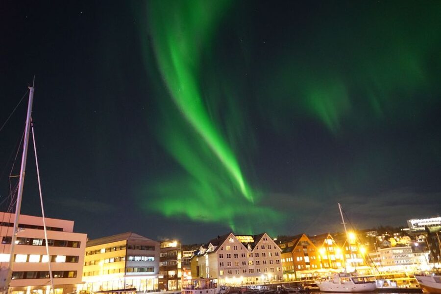 Tromsø: Northern Lights Luxury Catamaran Cruise - Fishing Gear Included: A Fun Plan B While You Wait