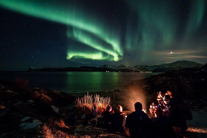 Tromso Northern Lights Minibus Chase Small Group Tour with Photos - Tromsø Northern Lights by minibus: what the 7–10 hour chase feels like