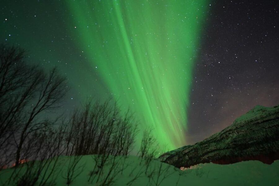 Tromsø: Northern Lights Minibus Small Private Tour Group - Northern Lights Hunting Starts With a Small-Group Minibus