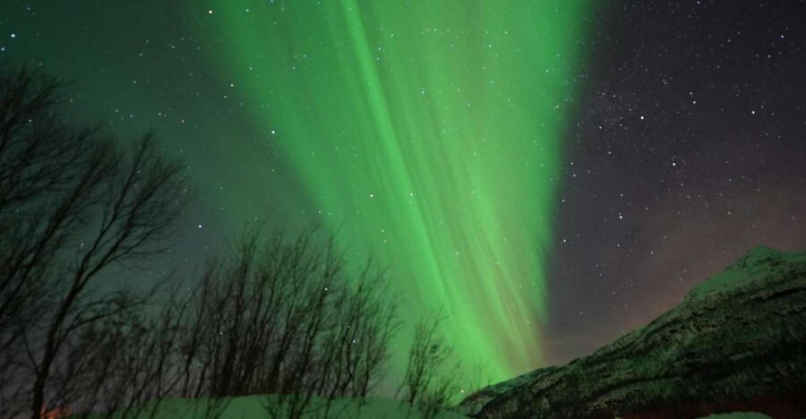 Tromsø: Northern Lights Minibus Small Private Tour Group - Thermal Suits, Hot Drinks, and Photo Stops That Actually Matter