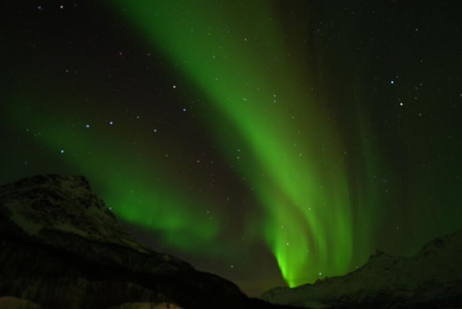Tromsø: Northern Lights Minibus Small Private Tour Group - What the $157 Price Covers (and What It Doesn’t)