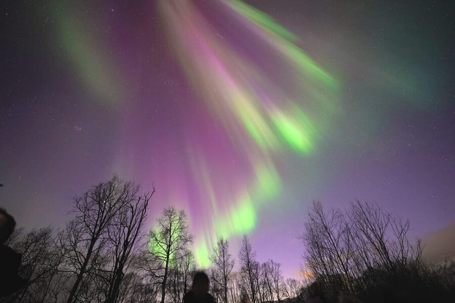 Tromso: Northern Lights Minibus Tour with Campfire - Tromsø Northern Lights by Minibus: Why This Pace Works